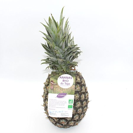 Ananas frais bio Cayenne Lisse - PRONATURA - Carton de 6 kg