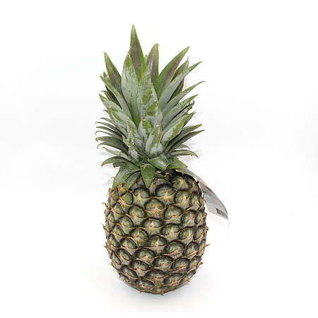 Ananas frais bio Cayenne Lisse - PRONATURA - Carton de 6 kg