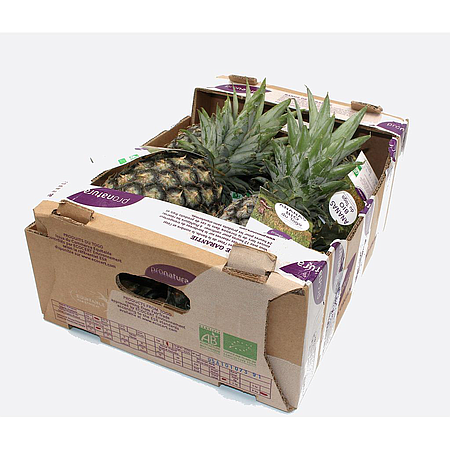 Ananas frais bio Cayenne Lisse Carton 6kg