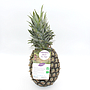 Ananas frais bio Cayenne Lisse - PRONATURA - Carton de 6 kg